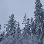 Góralski Na Szczycie Chalet *