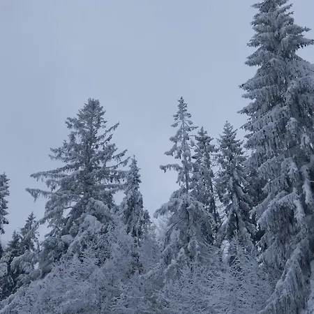 Góralski Na Szczycie Domek alpejski *