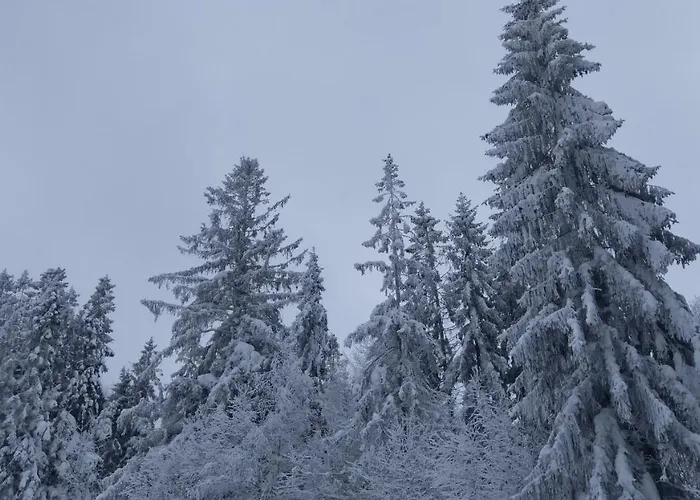 Goralski Na Szczycie Chalet *